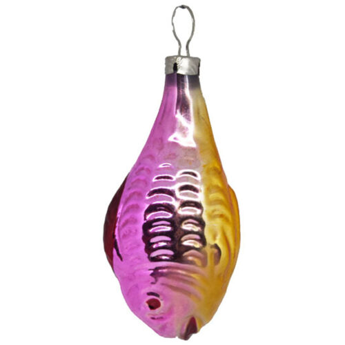 Fisch Bunt