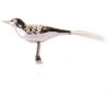 Glasvogel mit Glitzer
