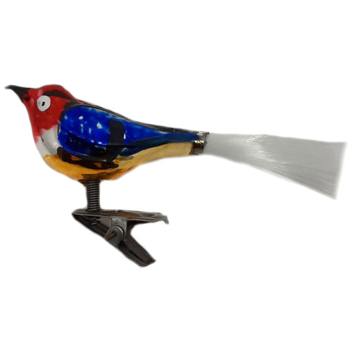 Glasvogel mit kurzem Schnabel
