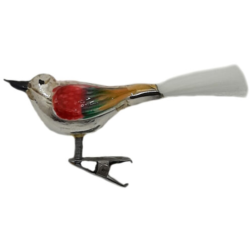 Glasvogel mit kurzem Schnabel