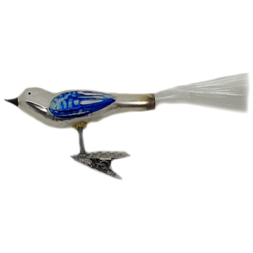 Glasvogel mit kurzem Schnabel