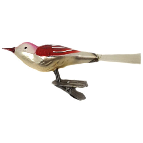 Glasvogel mit kurzem Schnabel
