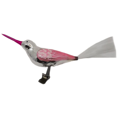 Glasvogel mit langem Schnabel