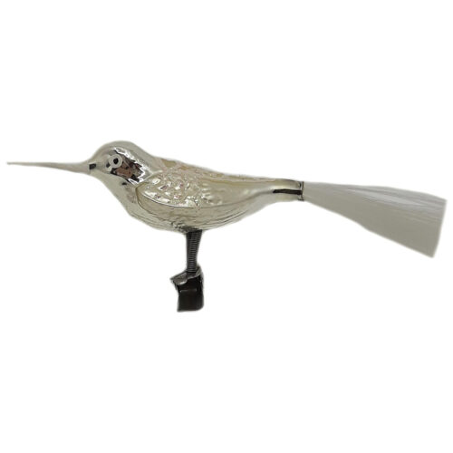 Glasvogel mit langem Schnabel