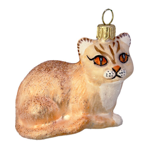 golden-brown cat
